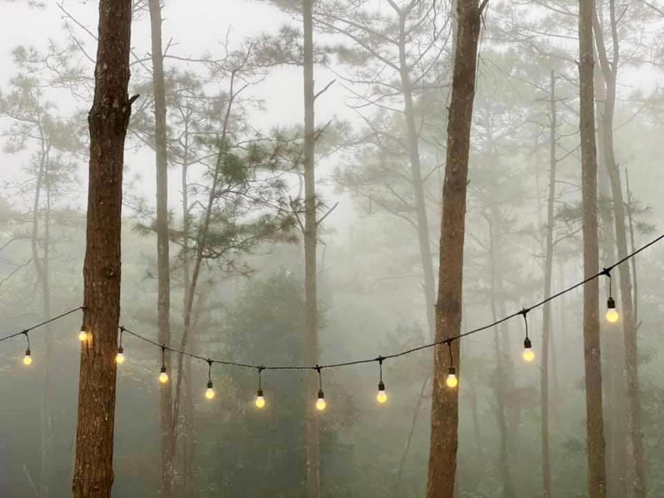 Nang Homestay Mang Den Kon Tum Dış mekan fotoğraf