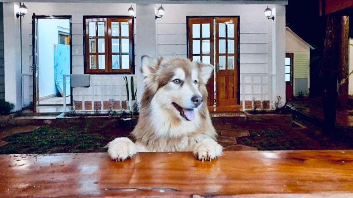 Nang Homestay Mang Den Kon Tum Dış mekan fotoğraf